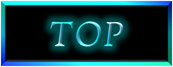 トップ